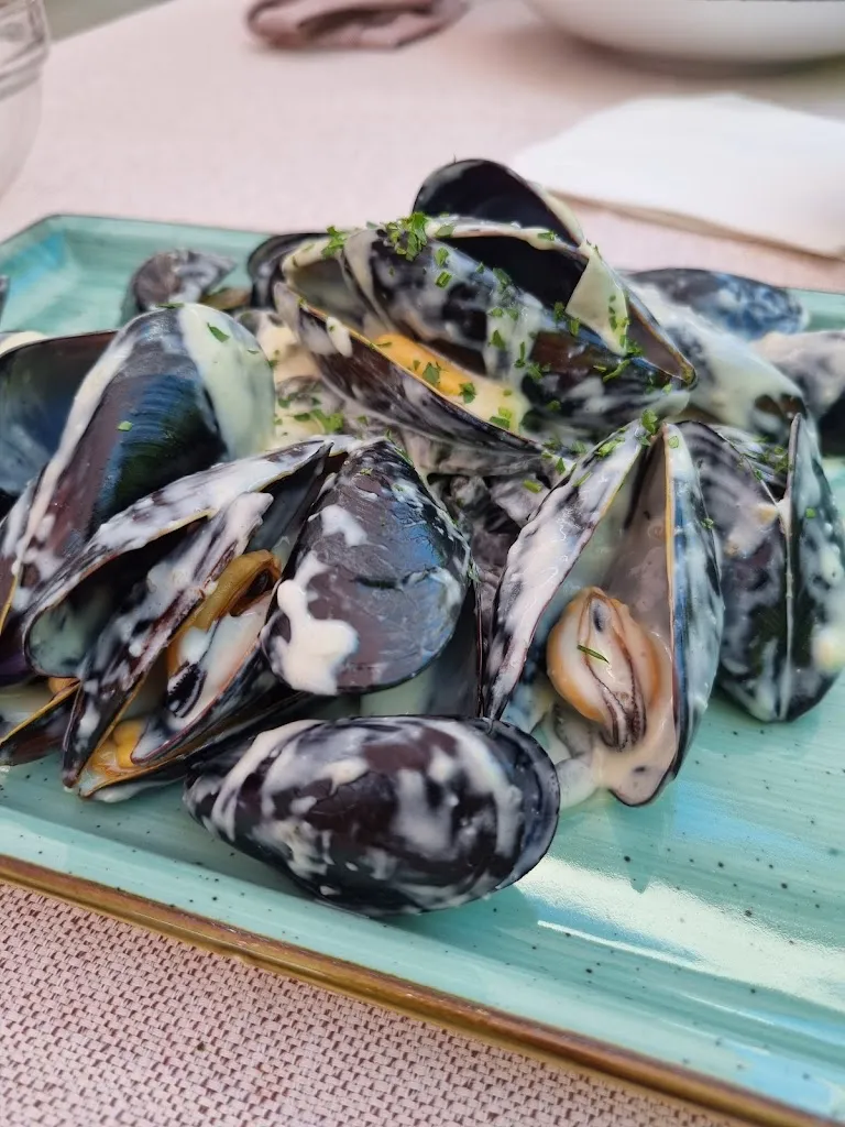 Menu_Cozze & Gorgonzola_Marina Romea_image_8