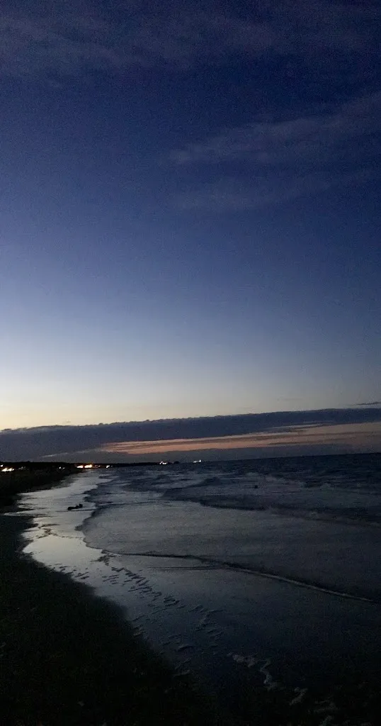 Dániel Nováki_Aloha Beach_Marina Romea_review