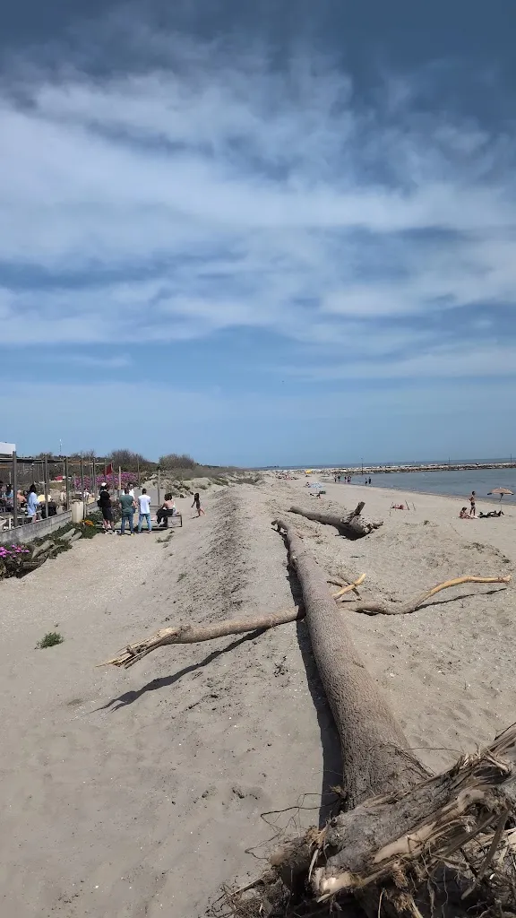 Bagno Ristorante Mercurio N.6_Marina Romea_slider_image_2