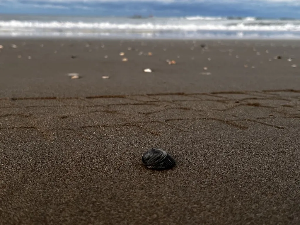 Marta Bubola_Bagno Susy n°24_Marina Romea_review