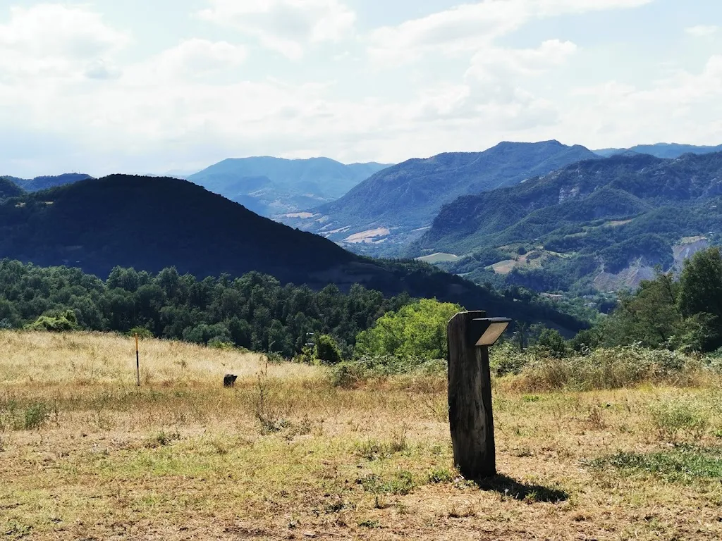 Daniela Mandler_la Roulotta_Marzabotto_recensione