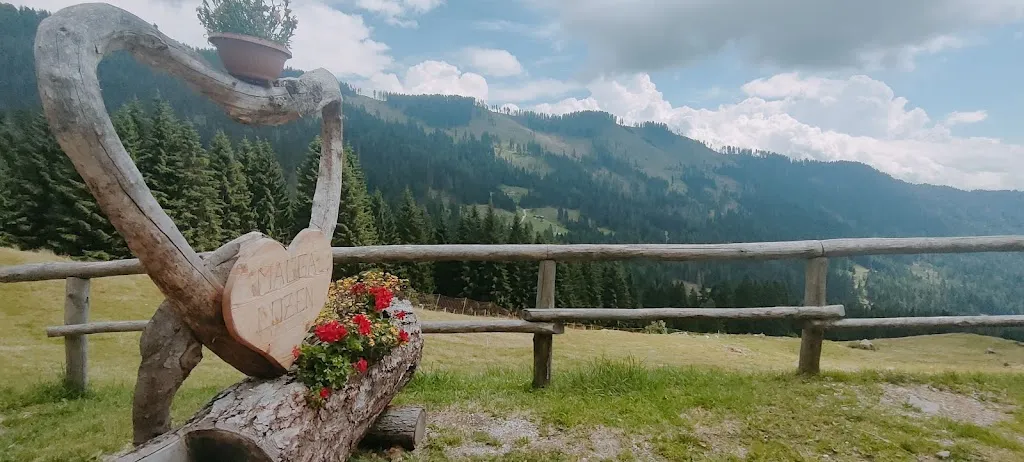 Sara Zollino_Agritur Malga Lozen_Mezzano_review