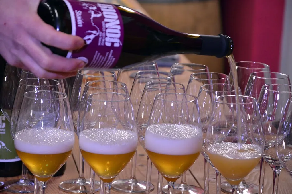 Menu_Birrificio Bionoc'_Mezzano_immagine_8