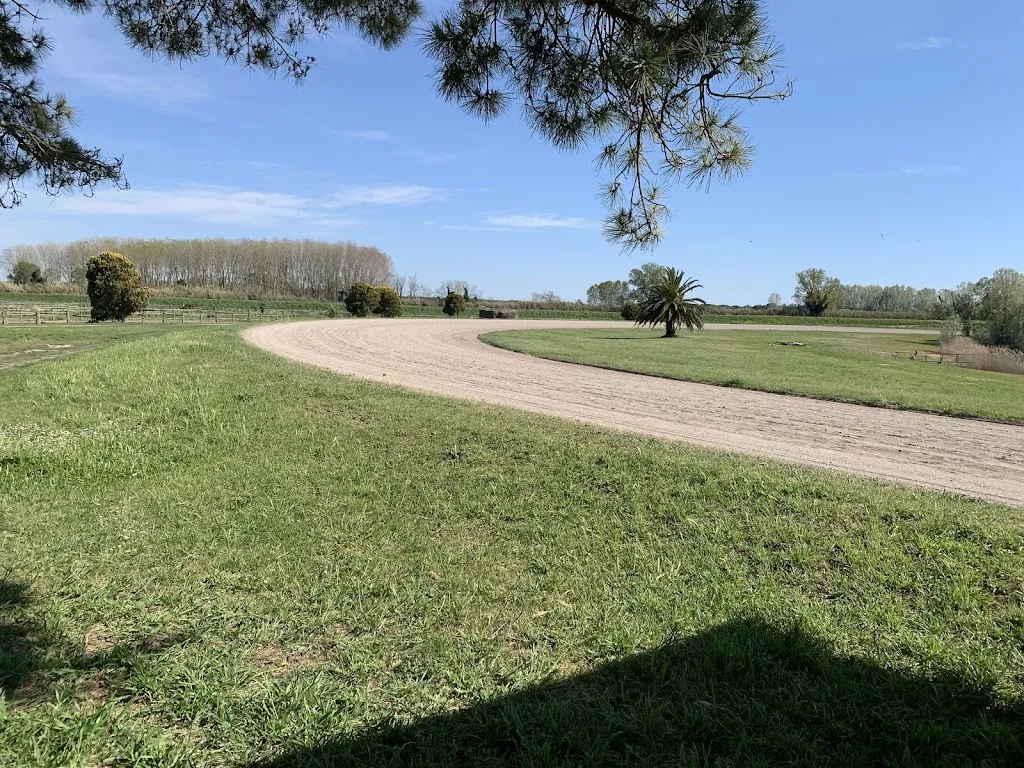 Club House Restaurant - tenuta isola di migliarino_Migliarino_slider_image_3