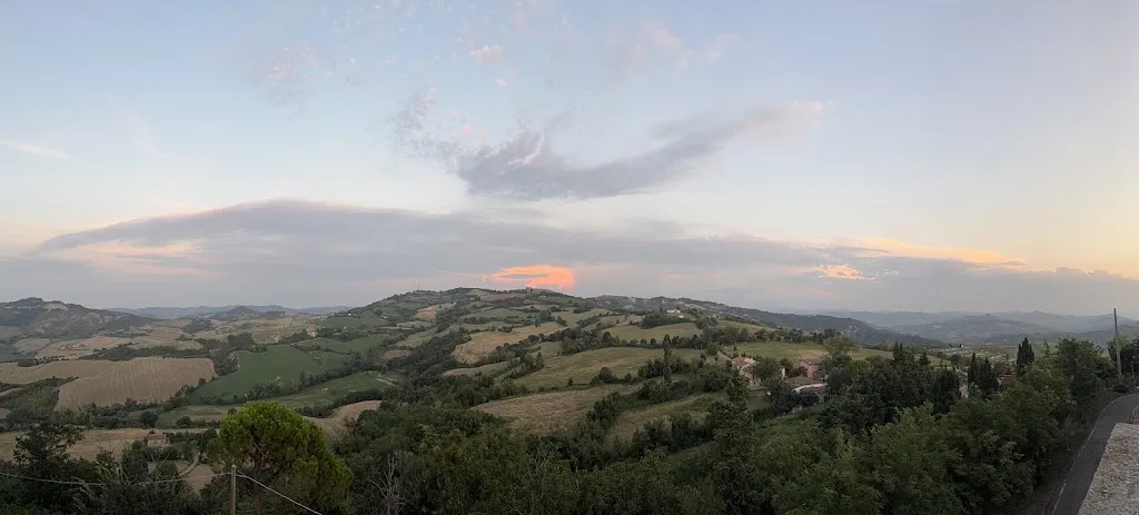 Michael Janssens_IL RUDERE_Meldola_review