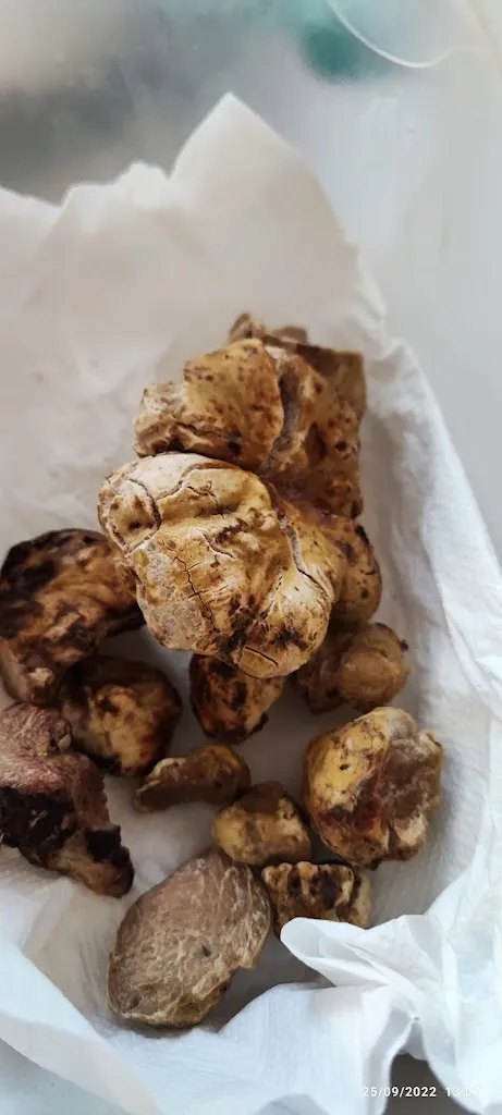 Menu_La Meridiana_Meldola_image_9