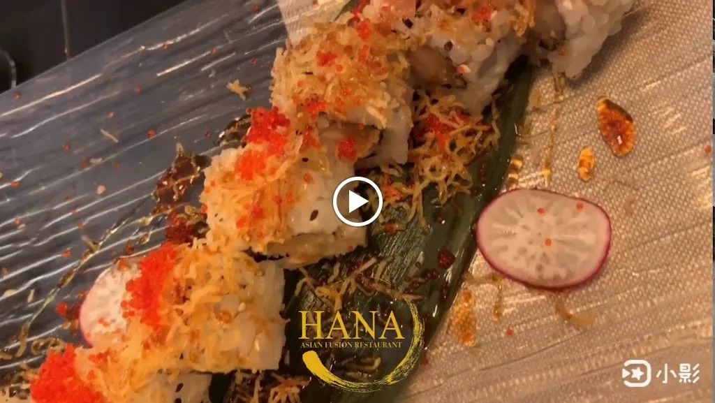 HANA RISTORANTE GIAPPONESE MIRANDOLA_Mirandola_slider_image_2