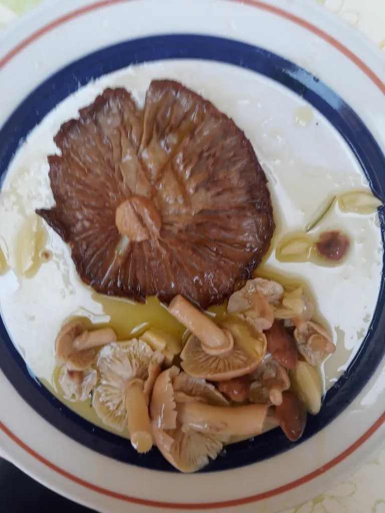 Menu_Ristorante Dal Maggi_Modigliana_immagine_3