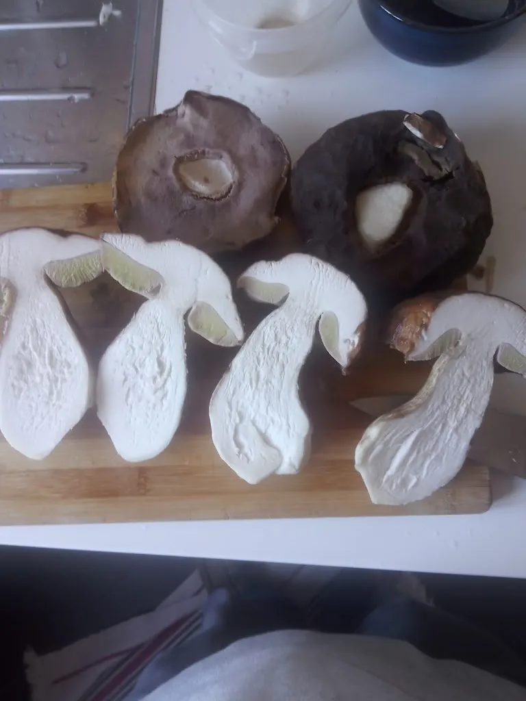 Menu_Ristorante Dal Maggi_Modigliana_immagine_4