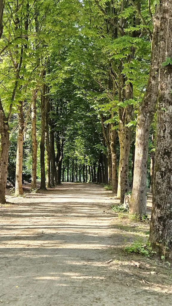 Agriturismo Cento Tigli_Modigliana_slider_image_2