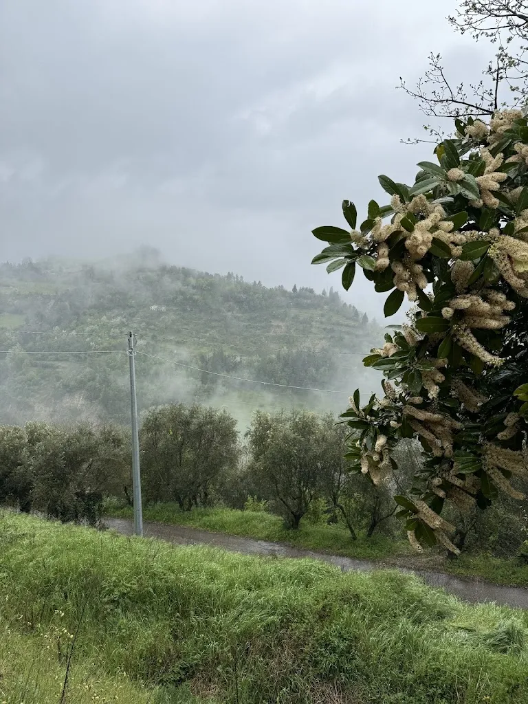 oxana belkova_Il Teatro_Modigliana_recensione