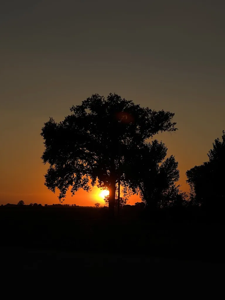 Antonia Zheleva_Villa Zucchini_Molinella_review