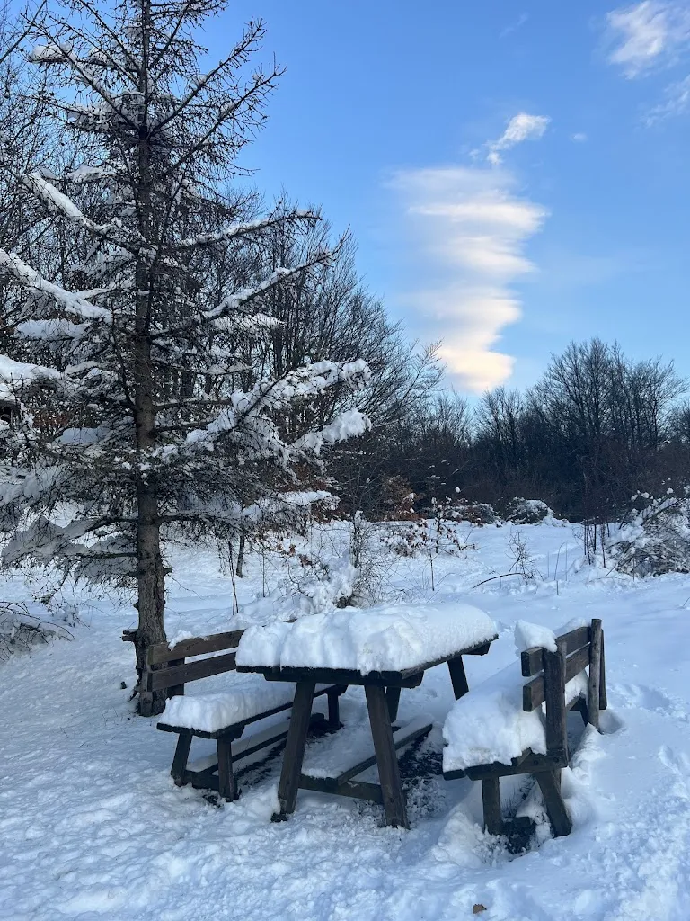 Paris Diamond_Rifugio Fantorno_Monghidoro_review