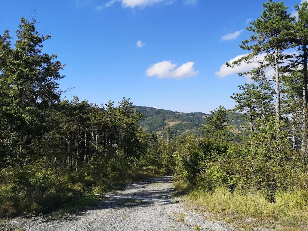 Plartcebo_Camping La Martina_Monghidoro_review