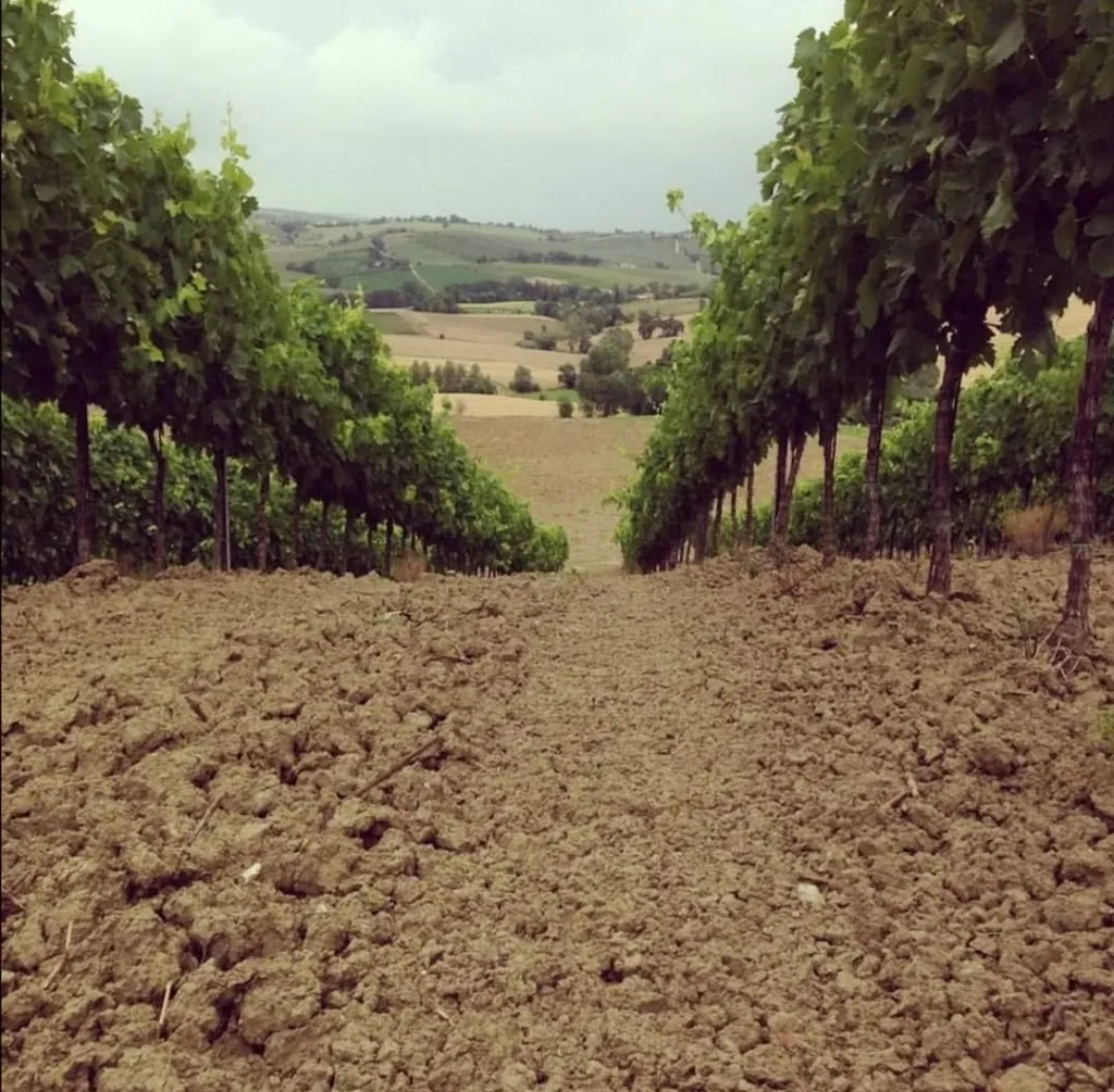 Agriturismo Il Capannino_Monte Colombo_slider_image_2