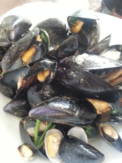 Menu_Immaginetta_Monte San Giovanni_image_8