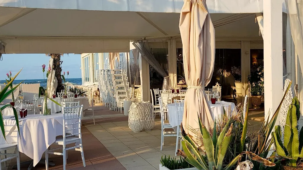 Moi Restaurant & Lounge Beach Bar restaurant in Misano Adriatico