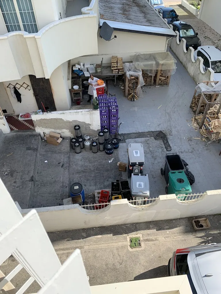 Paragi Zoltán_Ristorante Hochey di Torsani Paolo_Misano Adriatico_review