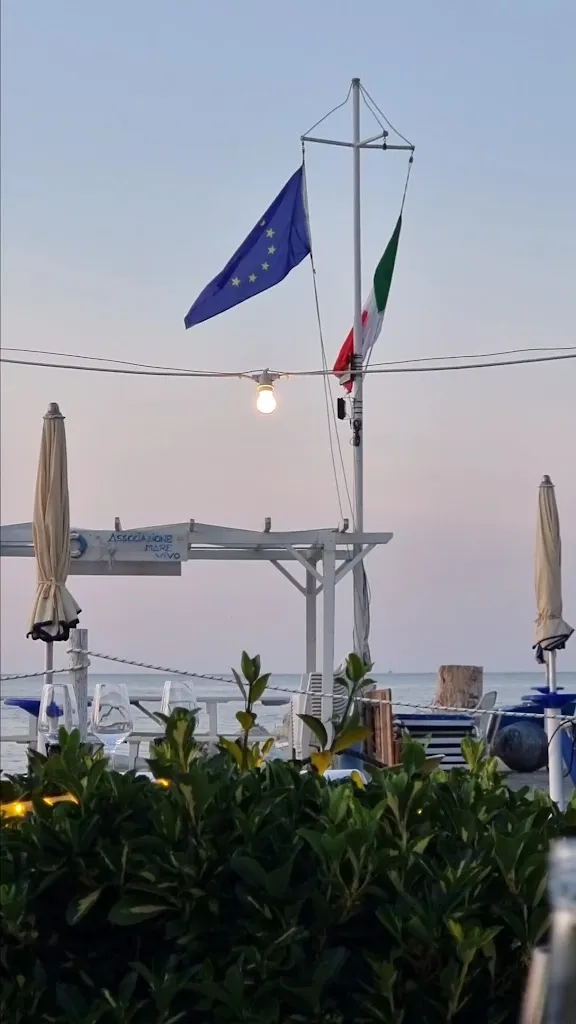 Tommaso Ferrini_Bar Ristorante Paradise_Misano Adriatico_review