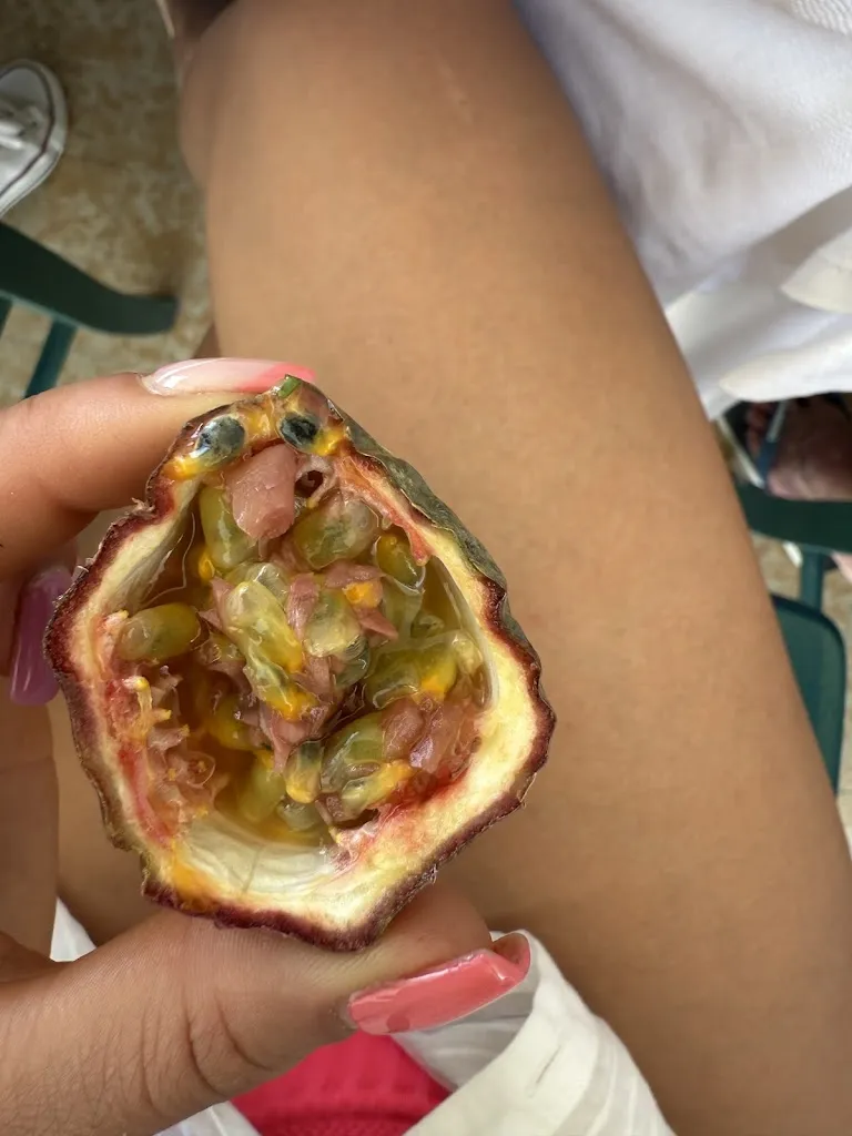 Imane El Amri_Bassamarea _ Ristorante Bar _ BassaMarea_Misano Adriatico_review