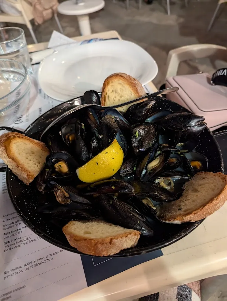 Cavalluccio Marino restaurant in Misano Adriatico