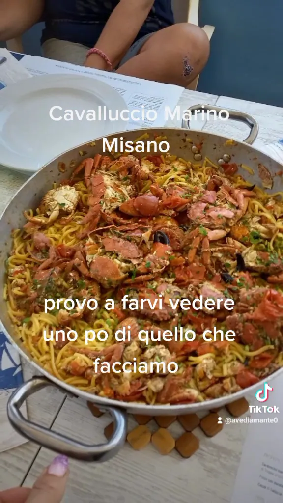 Cavalluccio Marino_Misano Adriatico_slider_image_2