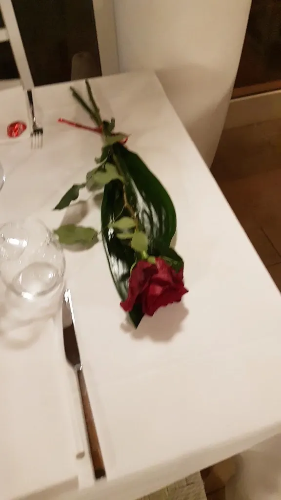 Ristorante la Darsena restaurant in Misano Adriatico