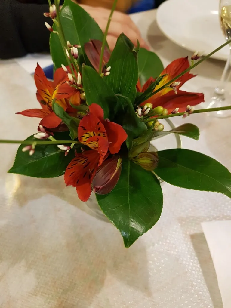 Kamila Roszniowska_Al Focolare_Montecreto_review