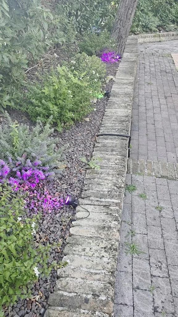 Sascha Wiegand_De’Nir_Montefiore Conca_review