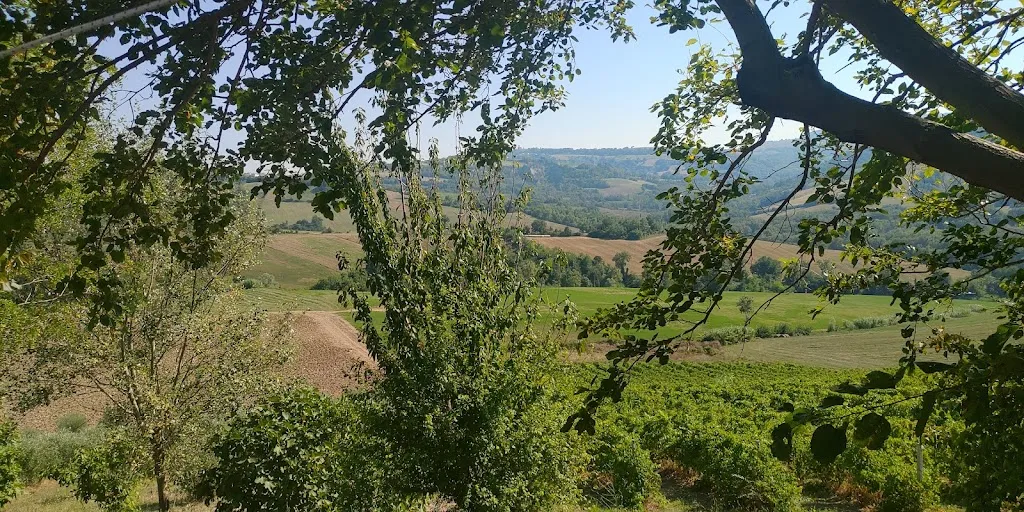 Tommaso Scasseddu_Il Sentiero_Montefiore Conca_review