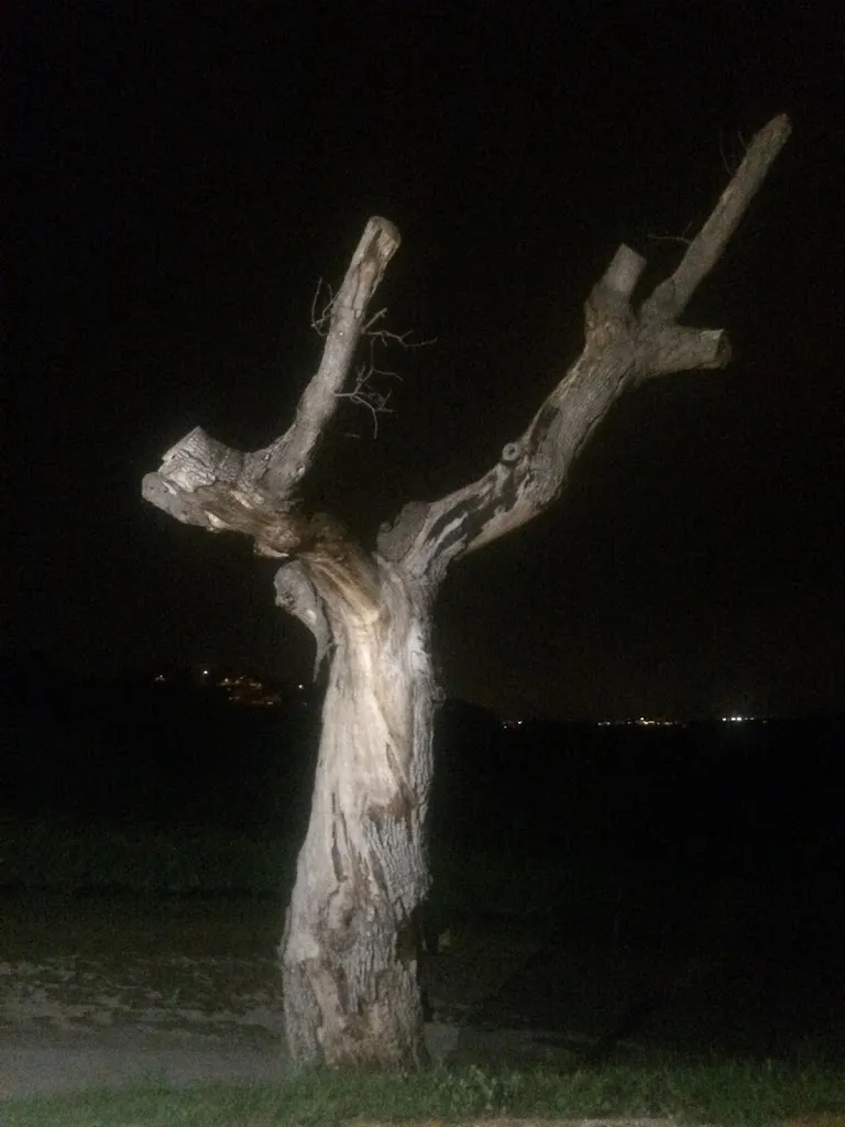 S P_Agriturismo Ripabottina Montegridolfo_Montegridolfo_review