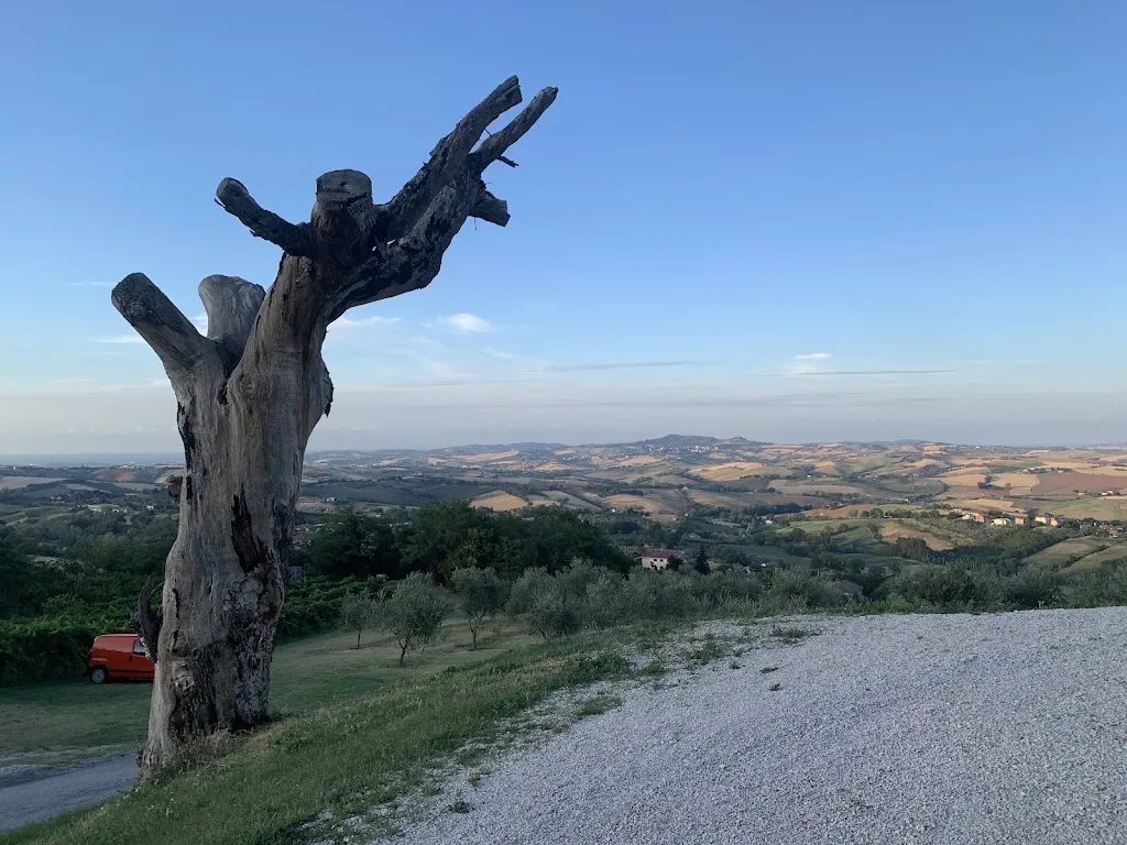 Krzysztof Tucki_Agriturismo Ripabottina Montegridolfo_Montegridolfo_review