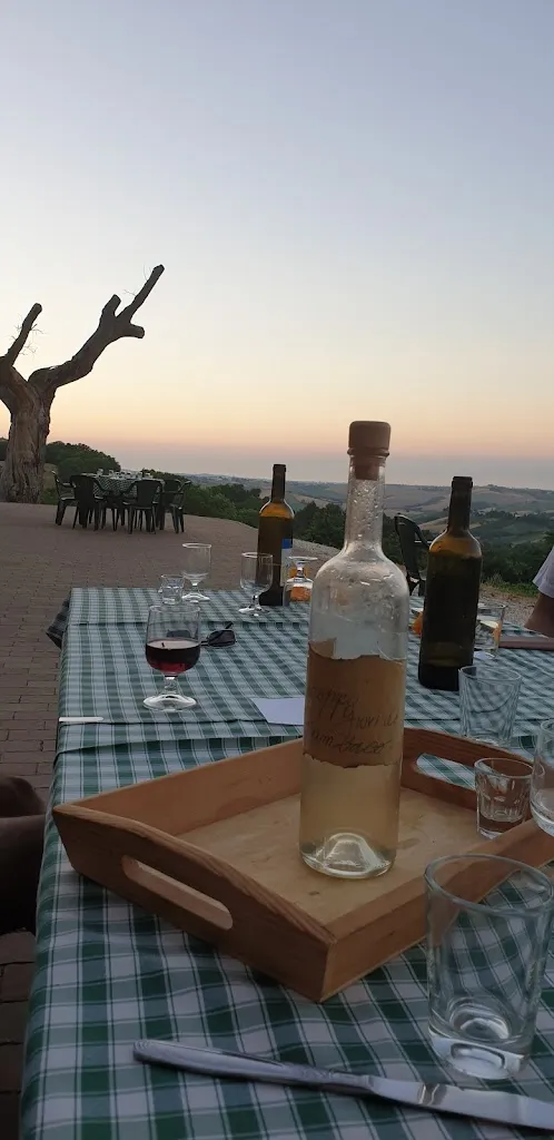 Marco Anzani_Agriturismo Ripabottina Montegridolfo_Montegridolfo_review