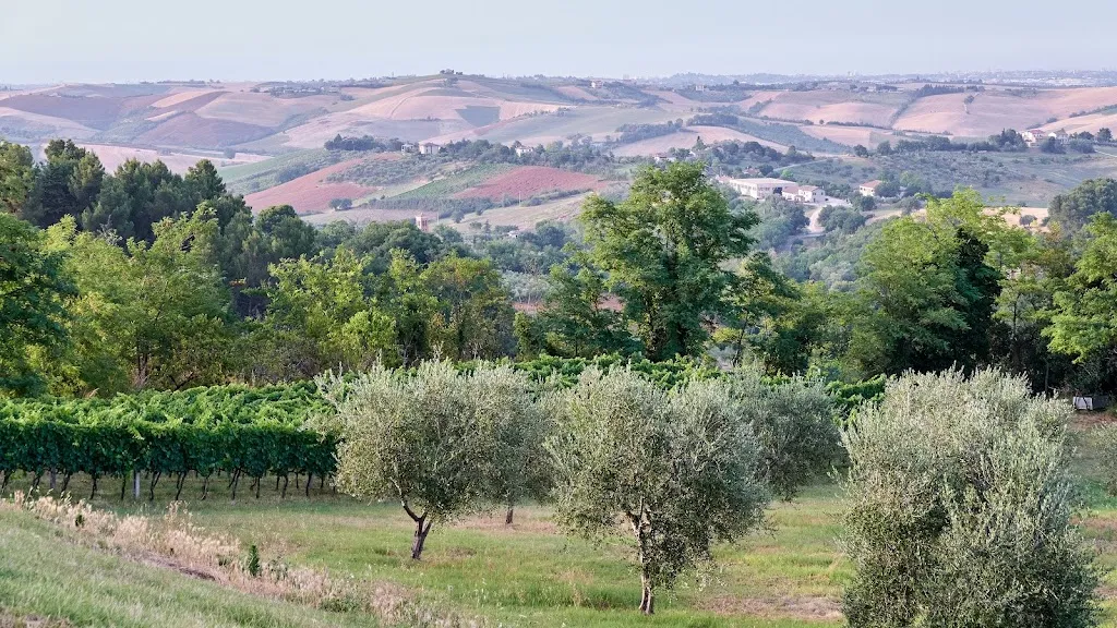 Agriturismo Ripabottina Montegridolfo_Montegridolfo_slider_image_3