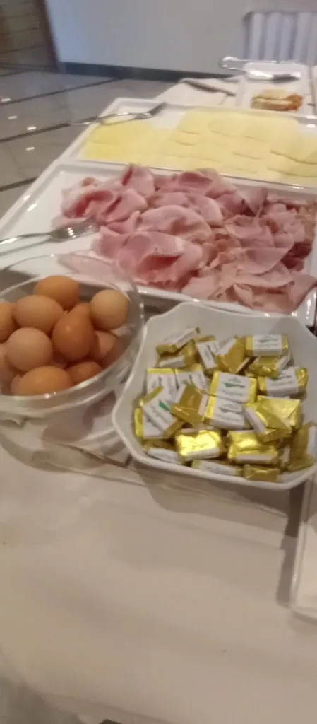 lion yingxi_Hotel Conte Verde_Montecchio Emilia_recensione