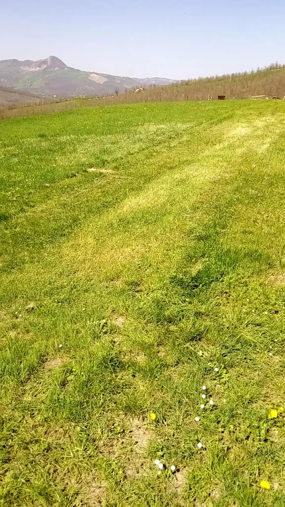 Agriturismo Le Casellacce_Montese_slider_image_2