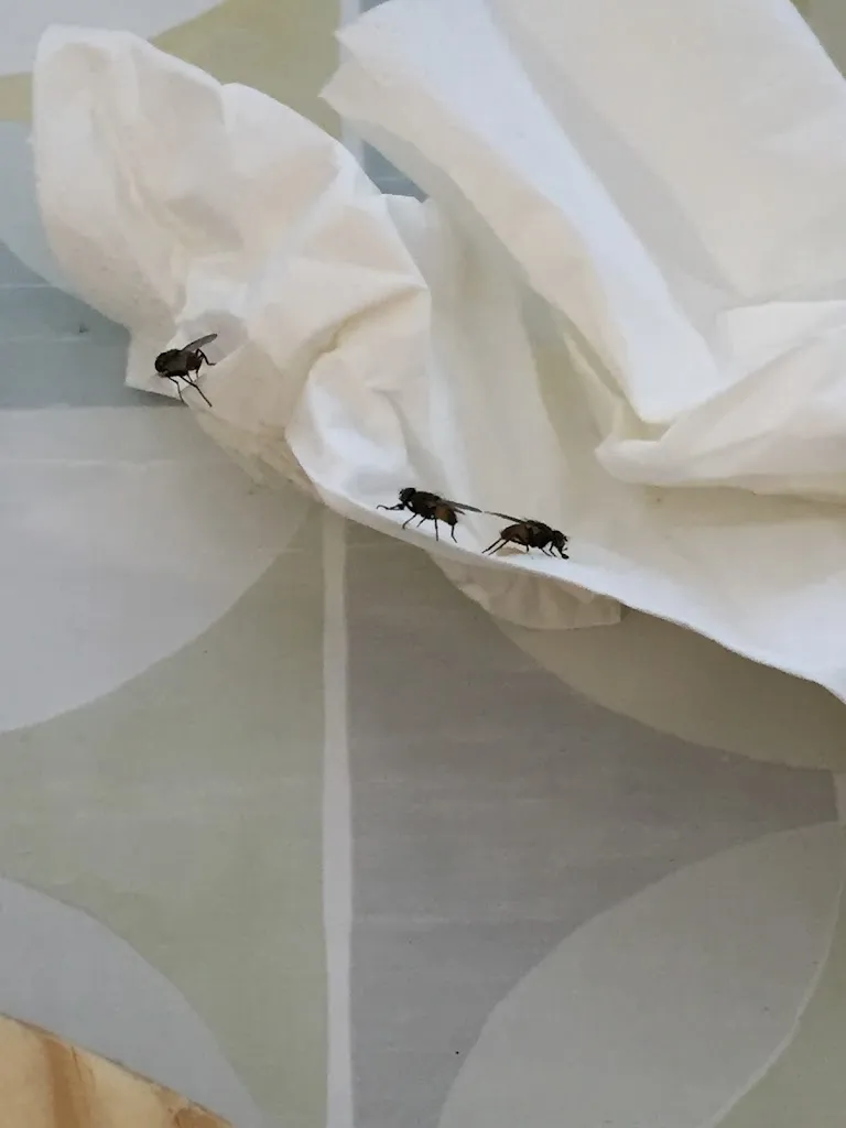 Tinatin Tatarashvili_La Baracca sul Fiume_Monzuno_review