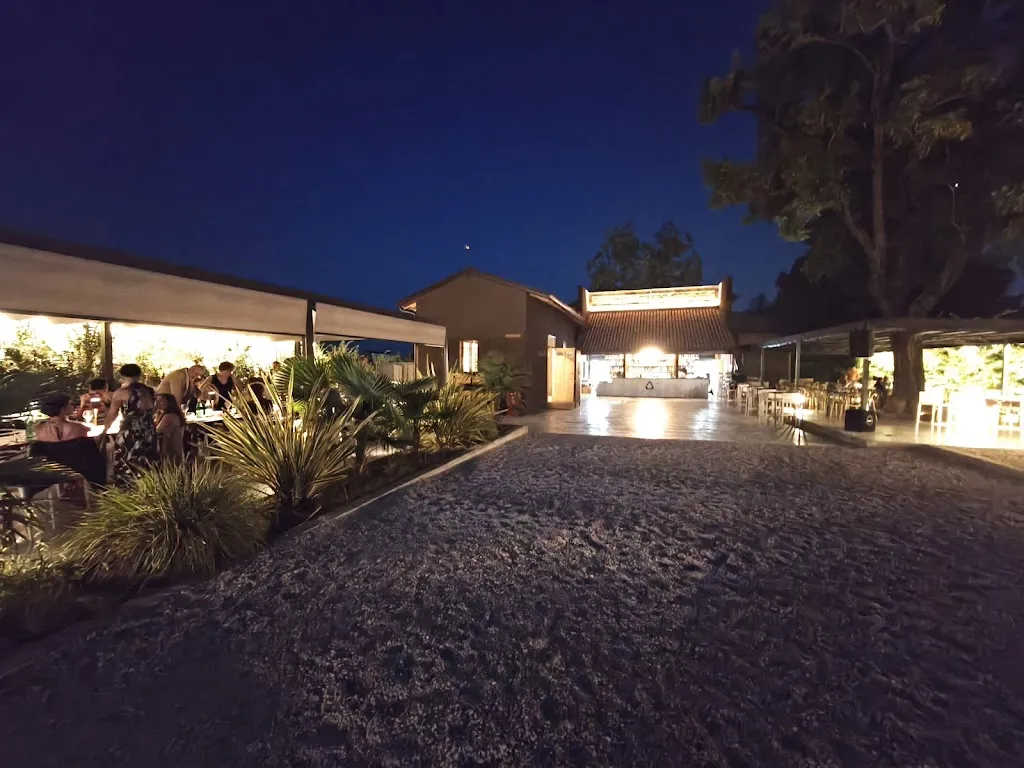 walter borsotti_TAO_Monticelli d'Ongina_review