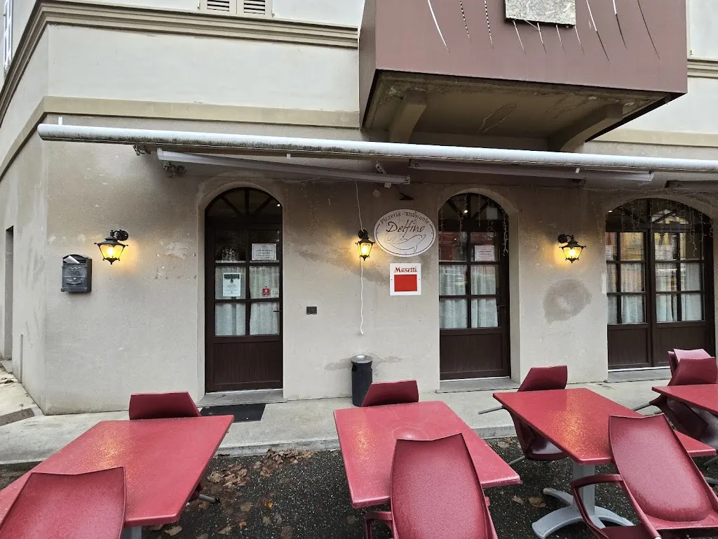 Gabriele Illica_Delfino_Monticelli d'Ongina_recensione