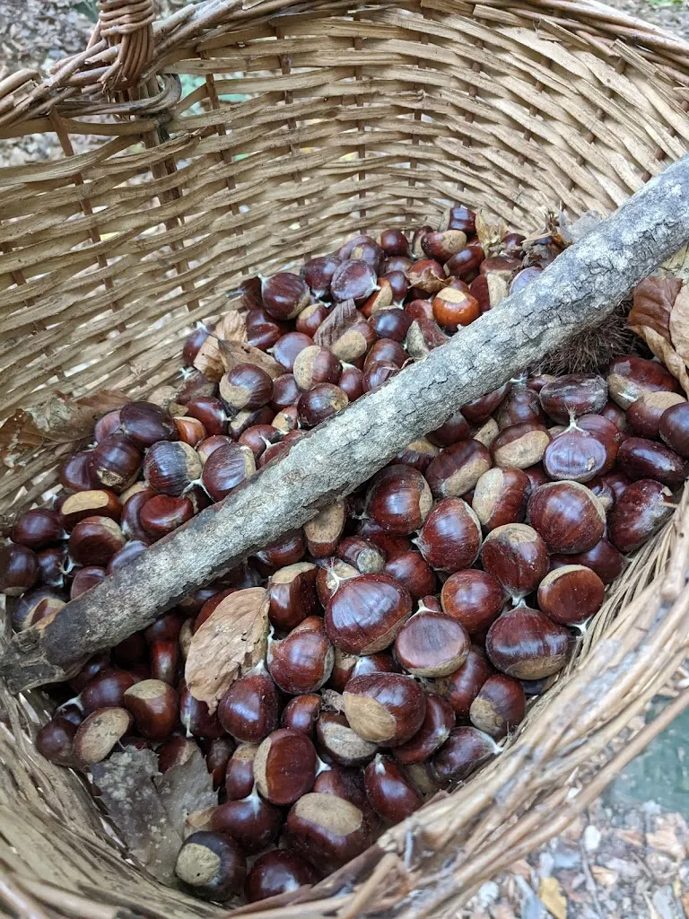 Menu_Rifugio del Parco Provinciale_Morfasso_image_9