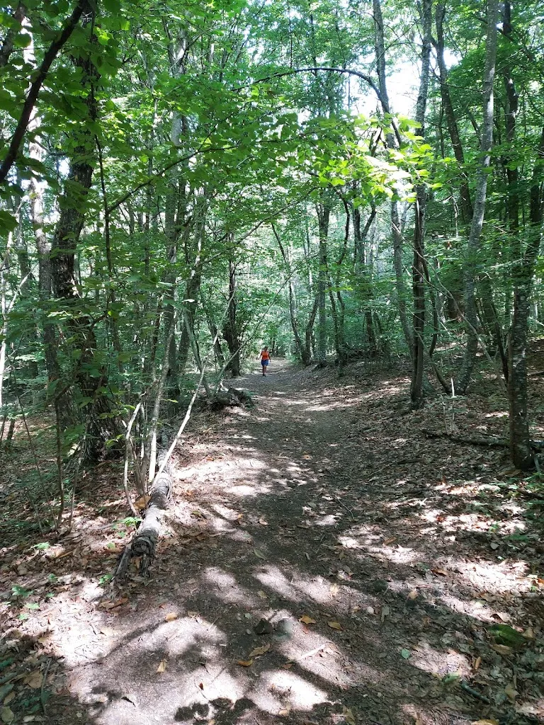 Mirella Fiore_Rifugio del Parco Provinciale_Morfasso_review