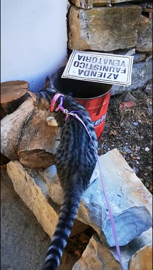 Albergo Ristorante Pie De Monti restaurant in Morfasso