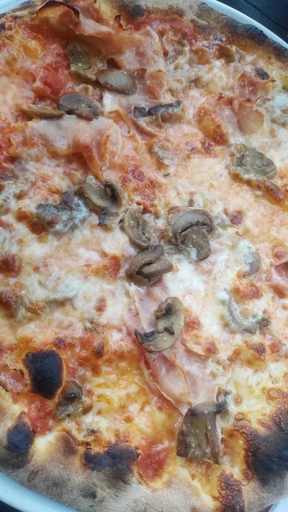 Luca Castagnetti_Tortuga - il ritrovo degli amici_Neviano degli Arduini_review