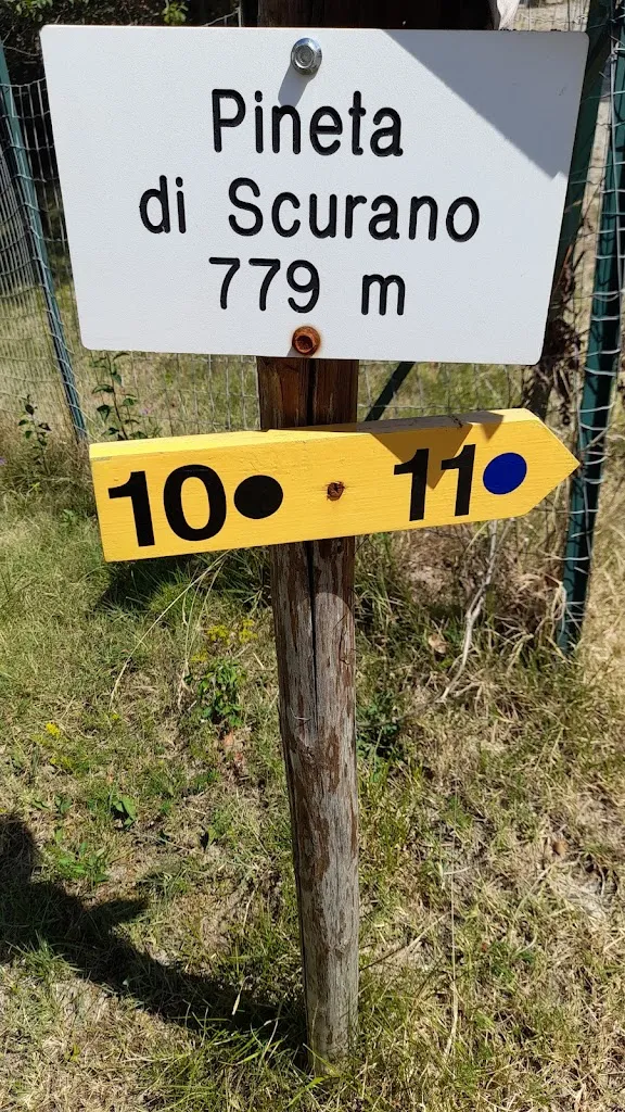 Paola Riva_Chalet Pineta di Mattioli Sergio _Neviano degli Arduini_review