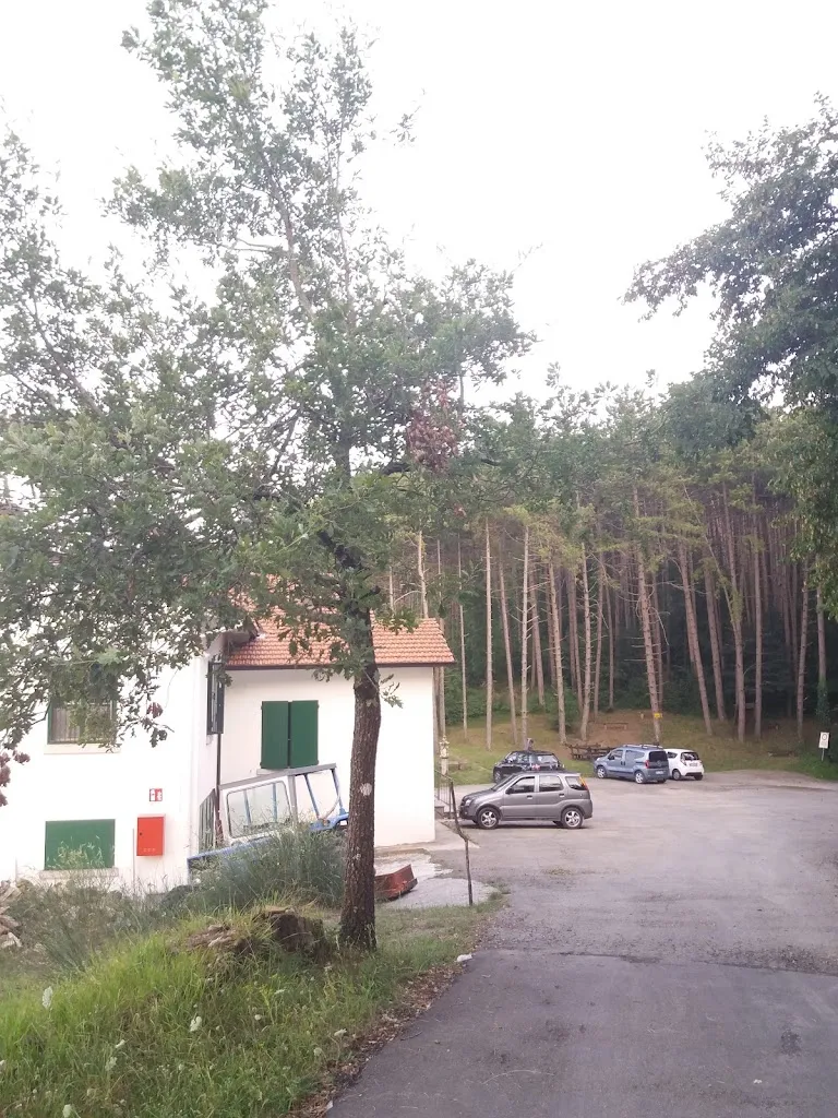 Giuliana Carraro_Chalet Pineta di Mattioli Sergio _Neviano degli Arduini_review