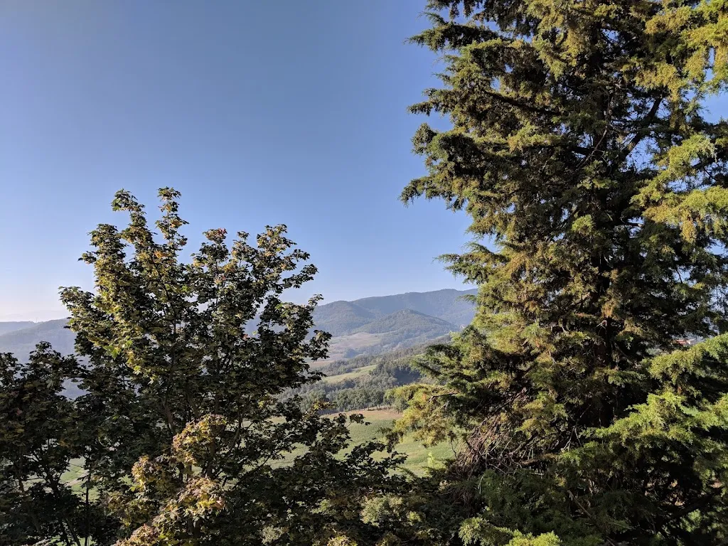 Finola Gaynor_Trattoria Mazzini Di Mazzini Marina_Neviano degli Arduini_review