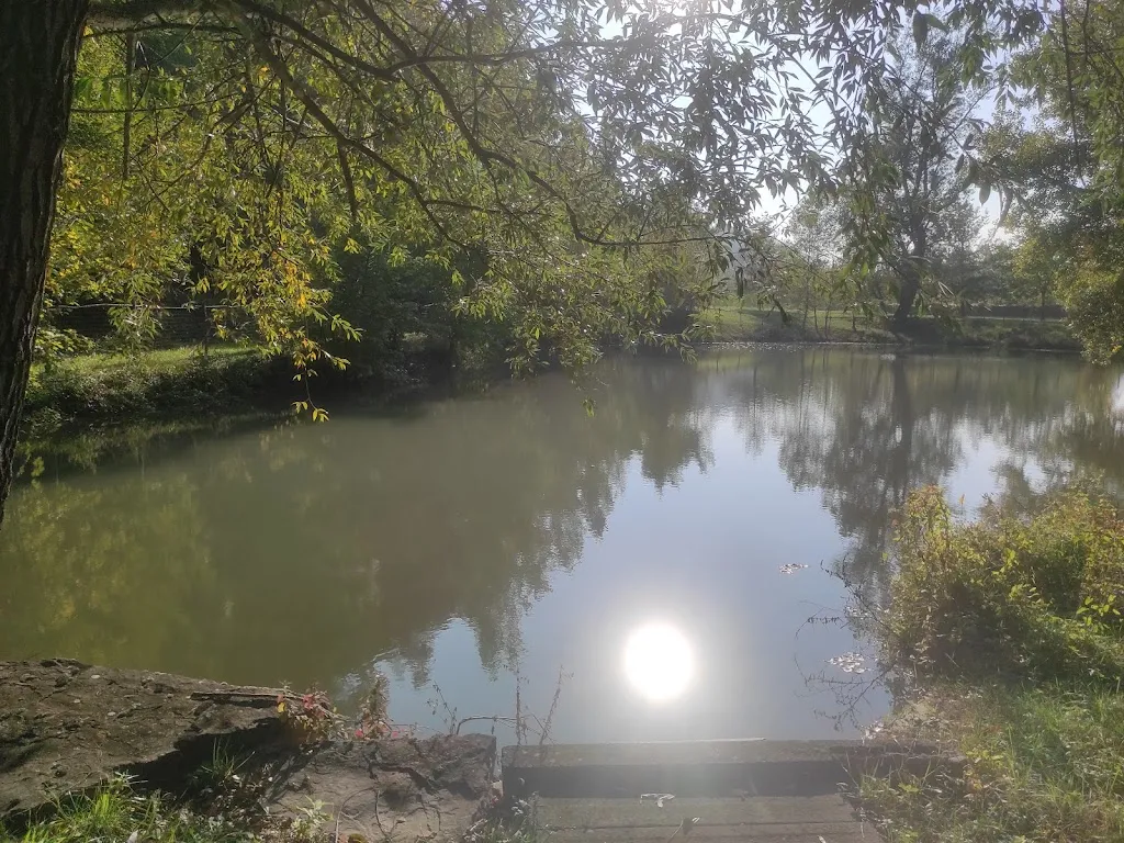 Alessandro Luisi_Fattoria Frasco_Neviano degli Arduini_review