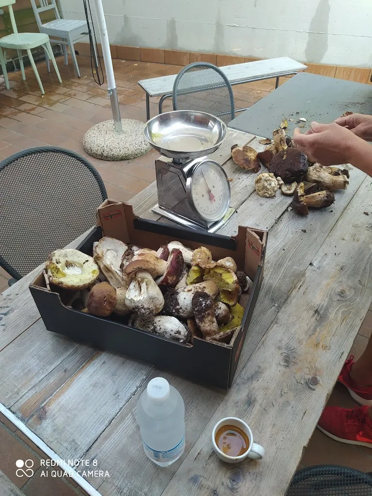 Menu_Bar Trattoria ALL'ISOLANDA_Neviano degli Arduini_image_6