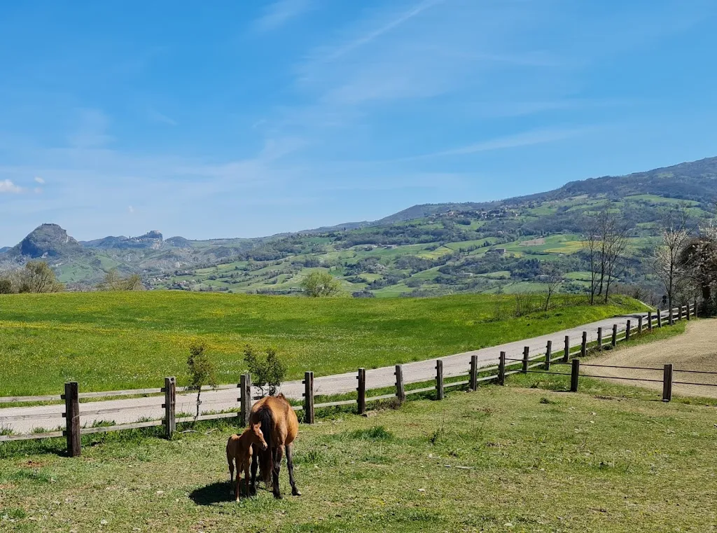 Agriturismo Cà Drolo_Novafeltria_slider_image_3
