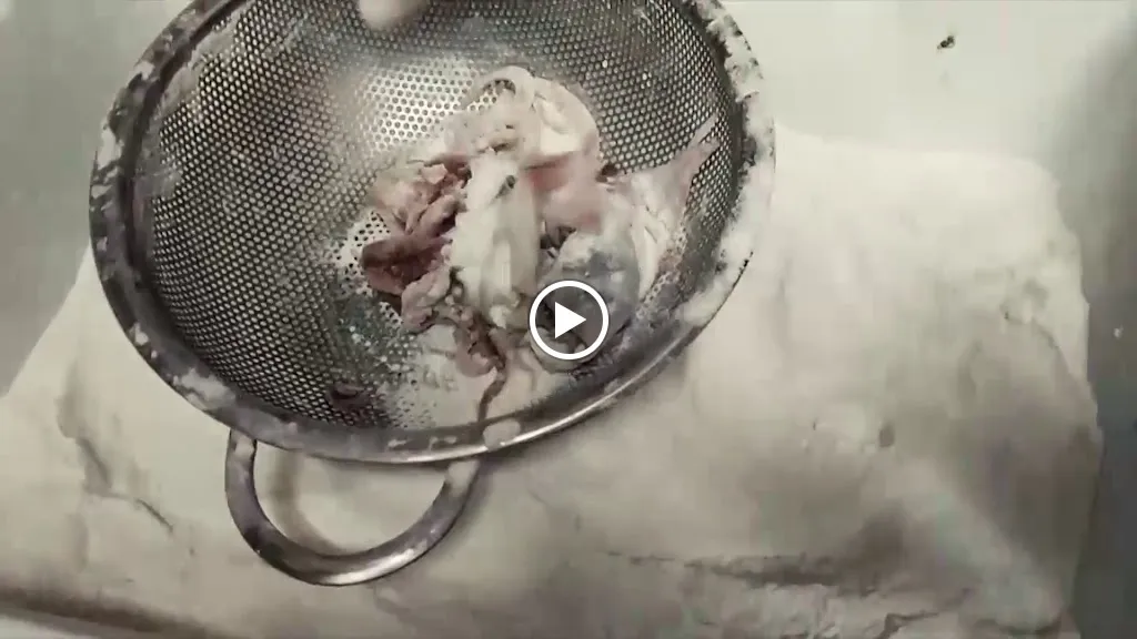 Locanda Abbazia_Nonantola_slider_image_2